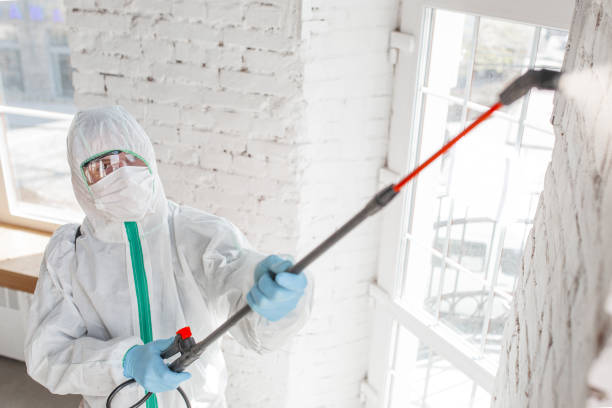 Best Post-Construction Mold Inspection  in New Sharon, IA