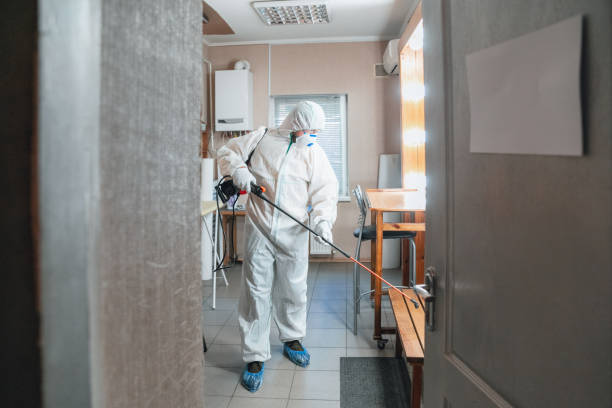 Best Mold Prevention Services  in New Sharon, IA