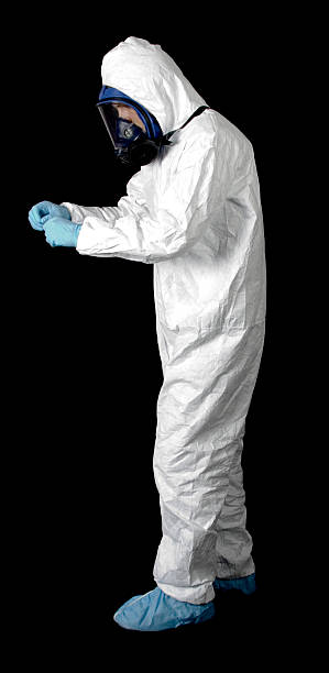 Best Attic Mold Removal  in New Sharon, IA